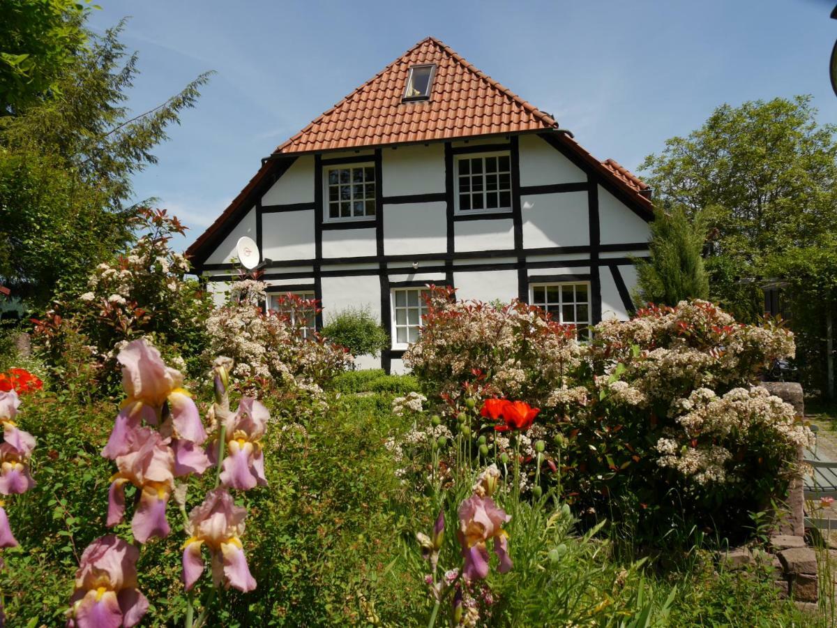 Ferienwohnung Weserblick Polle Екстериор снимка